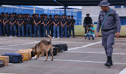 Canes forman parte del Sistema Penitenciario