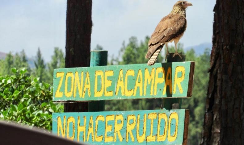 La Yeguada: una zona para acampar