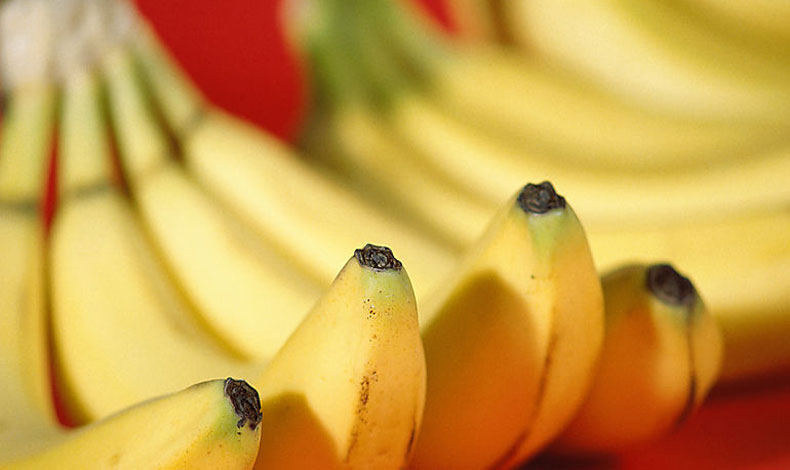 Panam busca promocionar frutas en el mercado alemn