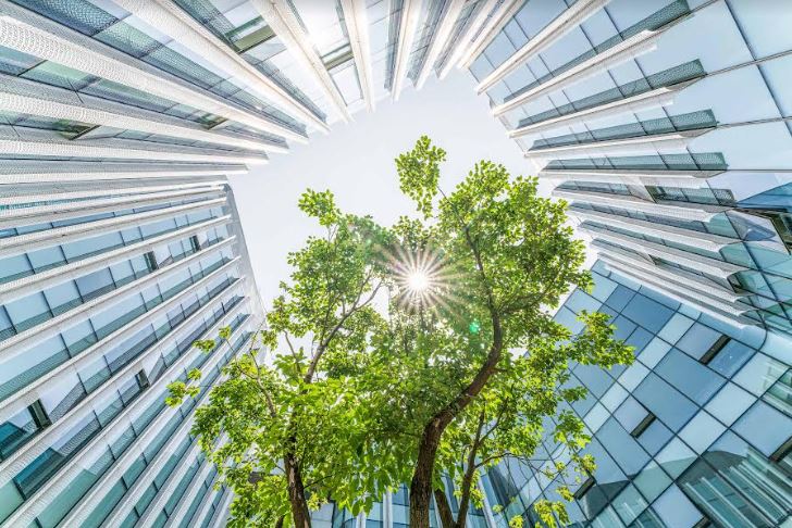 Estrategia ambiental, social y gobernanza de las empresas marcan la pauta de atraccin de inversionistas