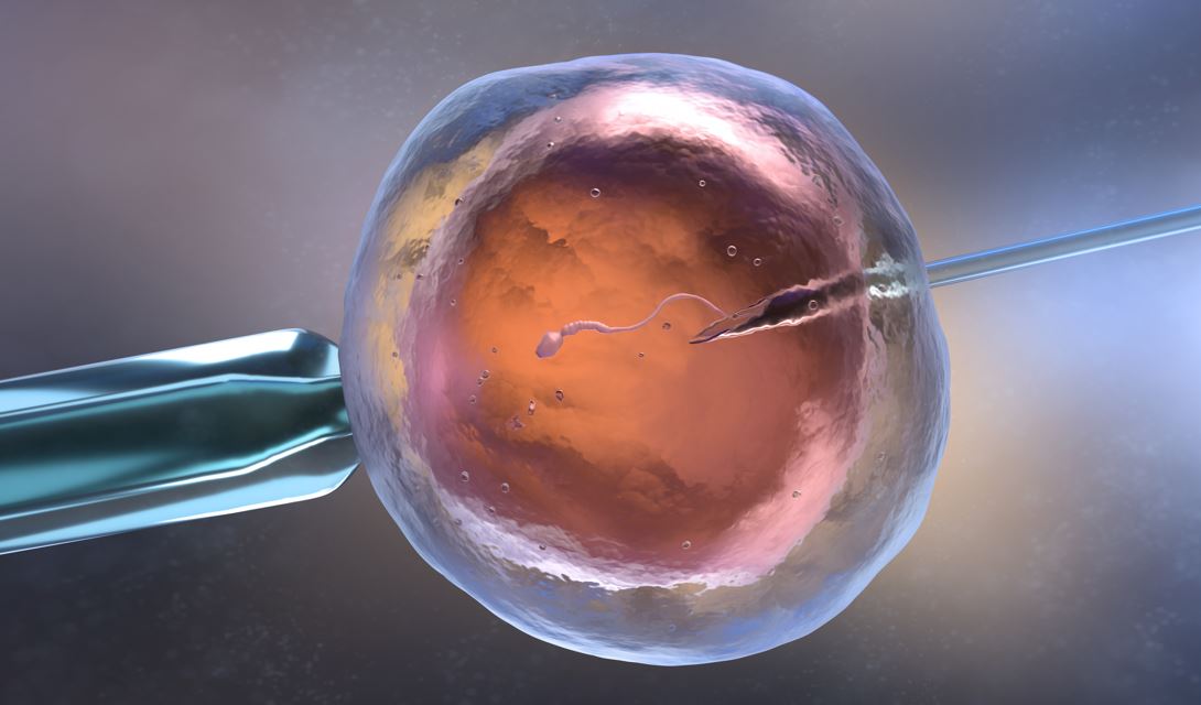 Recomendaciones para tener ms posibilidades de xito durante una Fecundacin in Vitro