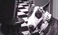 Tim Burton ya tiene voces para su Frankenweenie
