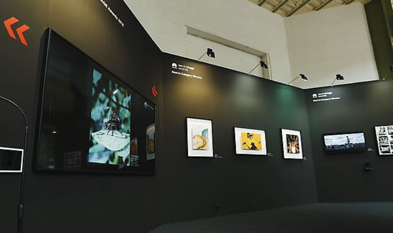 Ganadores de concurso de Huawei en el Paris Photo 2018