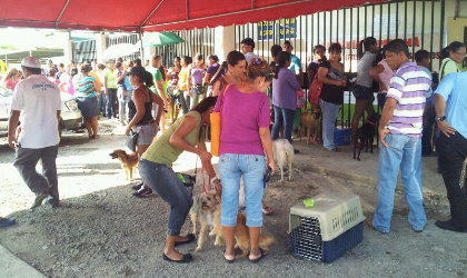 191 perritos y gatitos fueron esterilizados