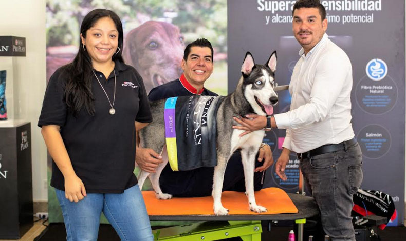 Ganadores del sorteo Pro Plan Focus Sensitive Skin & Stomach reciben una sesin de grooming para sus perros