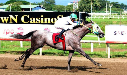 Se vaticina cerrado duelo entre Aragon Smash y Toms Gabriel