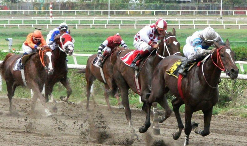 Hipismo: Hoy arranca la tanda de ocho eventos