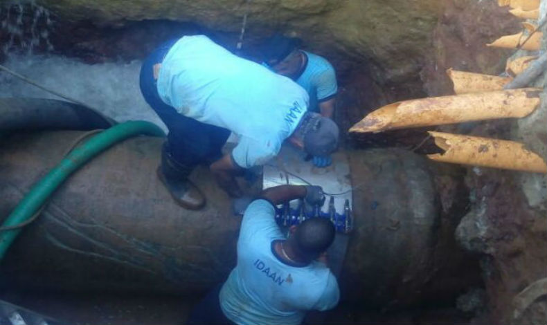 Cerrada tubera madre por 8 horas