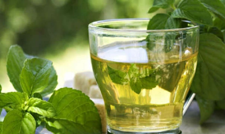 Infusin de hierbabuena, ideal para bajar de peso