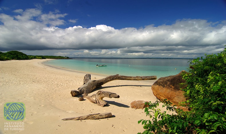 Bienvenidos de nuevo a la Isla Iguana