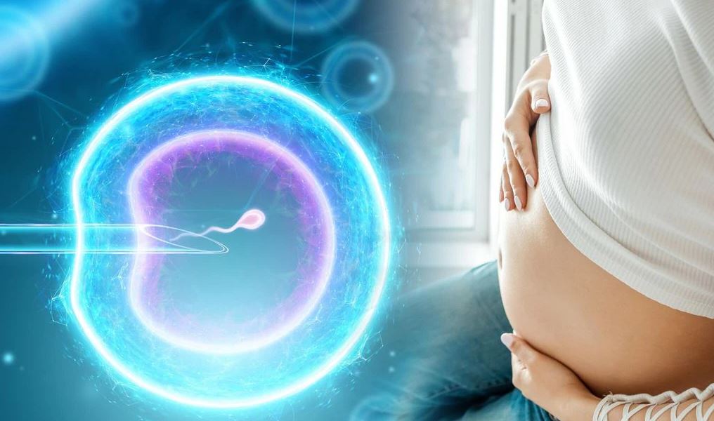 �Es posible quedar embarazada por inseminaci�n artificial sin pareja?