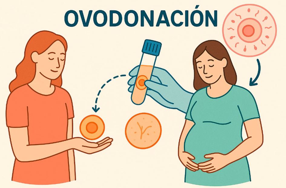 Tu mejor regalo de A�o Nuevo: ser madre por ovodonaci�n