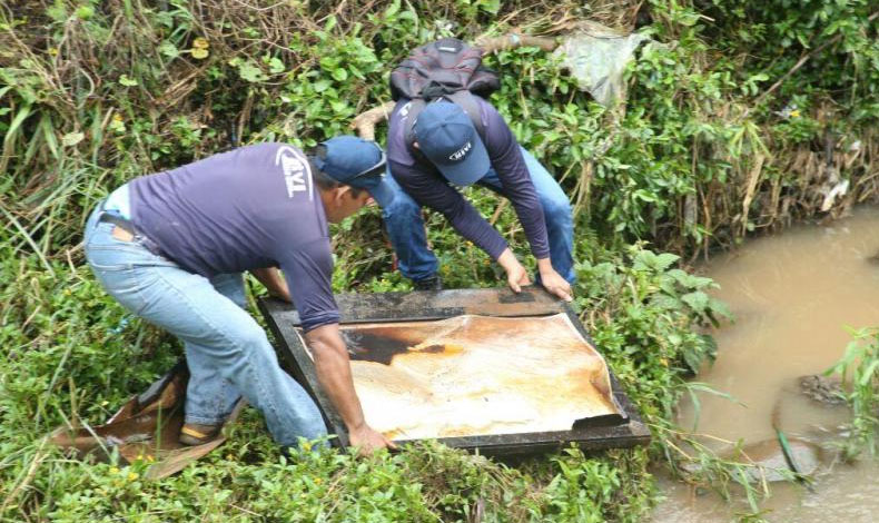 Jornadas de limpieza buscan evitar inundaciones y eliminar mosquitos