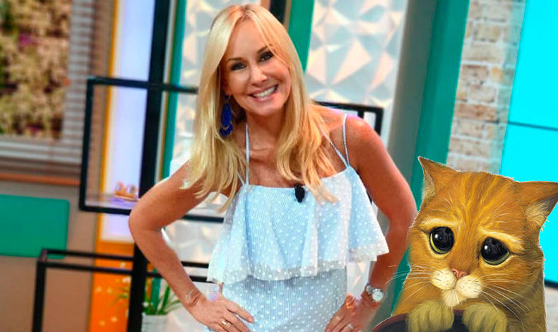 Karem Chalmers: la hada madrina de los gatos!