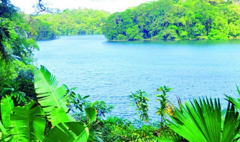 El lago de Gatn mantiene su condicin de agua dulce