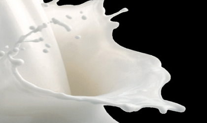 Hoy es el Da Internacional de la Leche