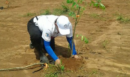 MIAMBIENTE logra la meta establecida por el Da Nacional de Reforestacin