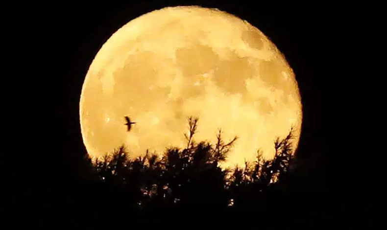 Por qu se ve ms grande la luna de la cosecha?