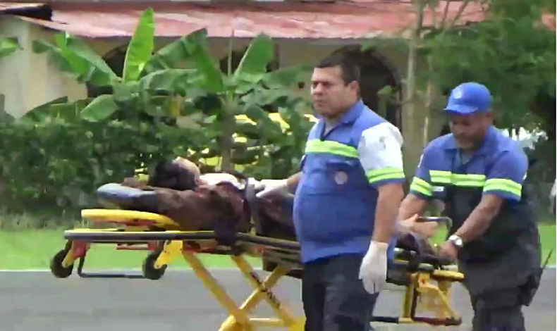 Menor en estado delicado tras mordida de serpiente