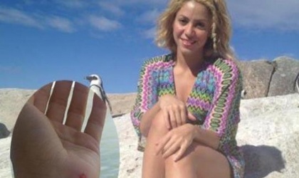 Shakira atacada por un len marino en Sudfrica