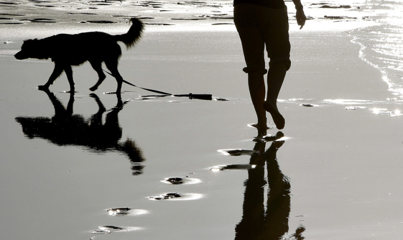 Mujer y su perro encontraron pene 'intacto' en una playa de Inglaterra