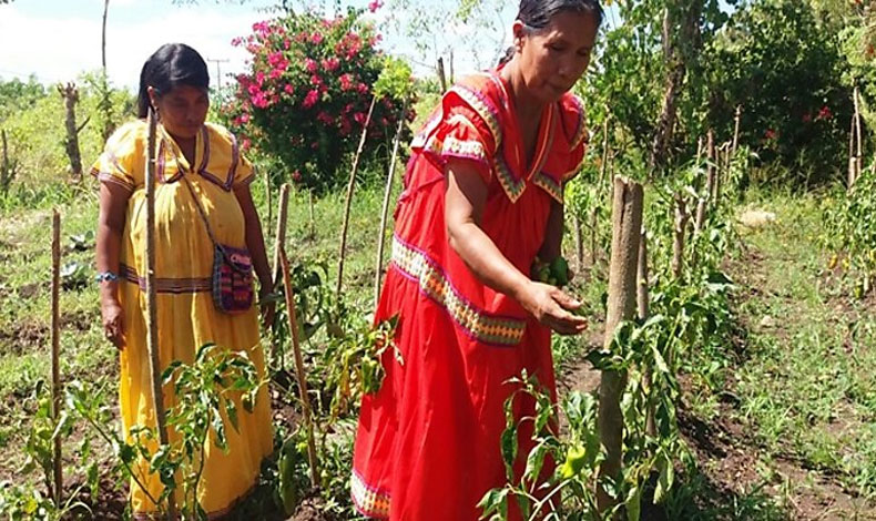 Da Internacional de las Mujeres Rurales