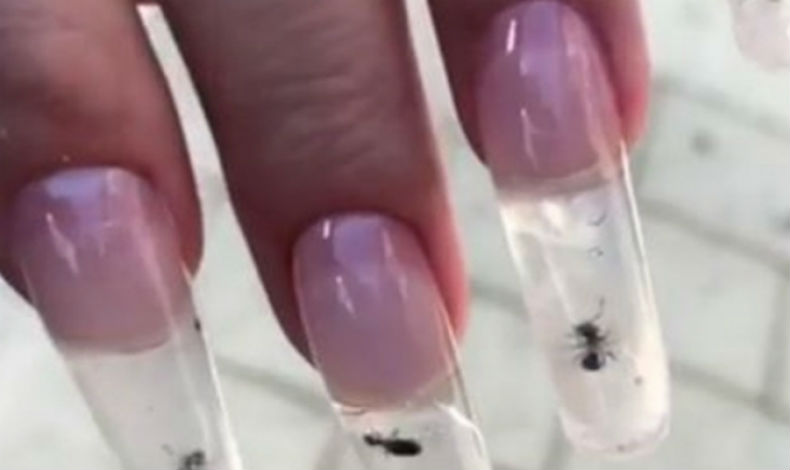 Nueva moda de uas acrlicas con hormigas vivas
