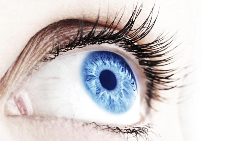 Lo que no sabías de los