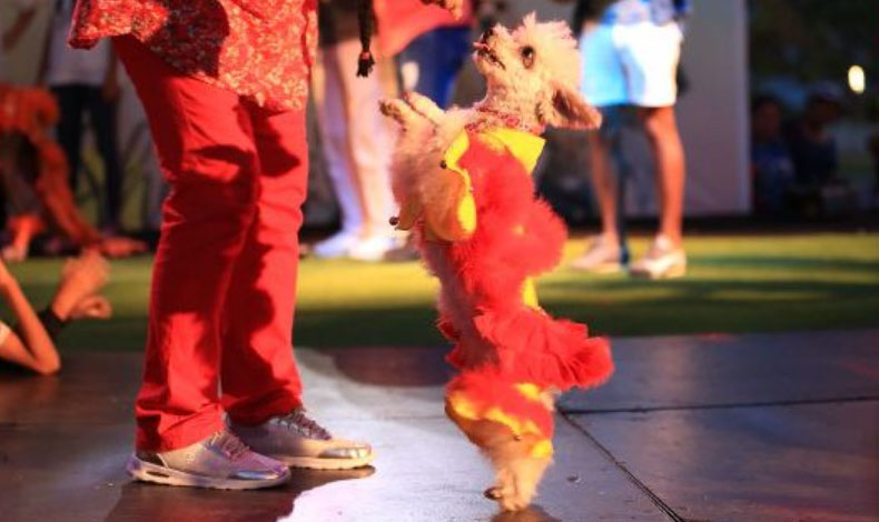 La primera Pasarela Canina ser en el Centro Comercial Albrook Mall