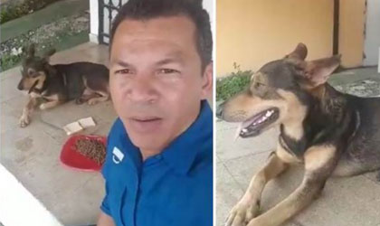 Luis Casis rescata a perro abandonado y se indigna con asociaciones de animales