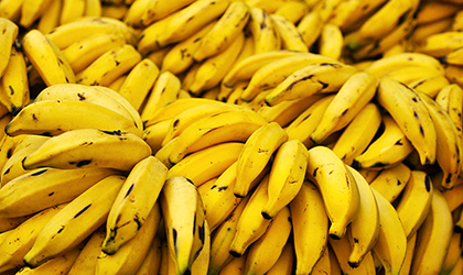 Productores del pas prevn un aumento en el precio del pltano para el mes de abril