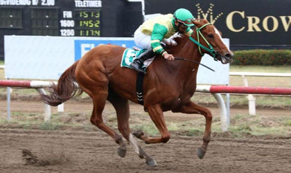 En busca de su primera mantilla