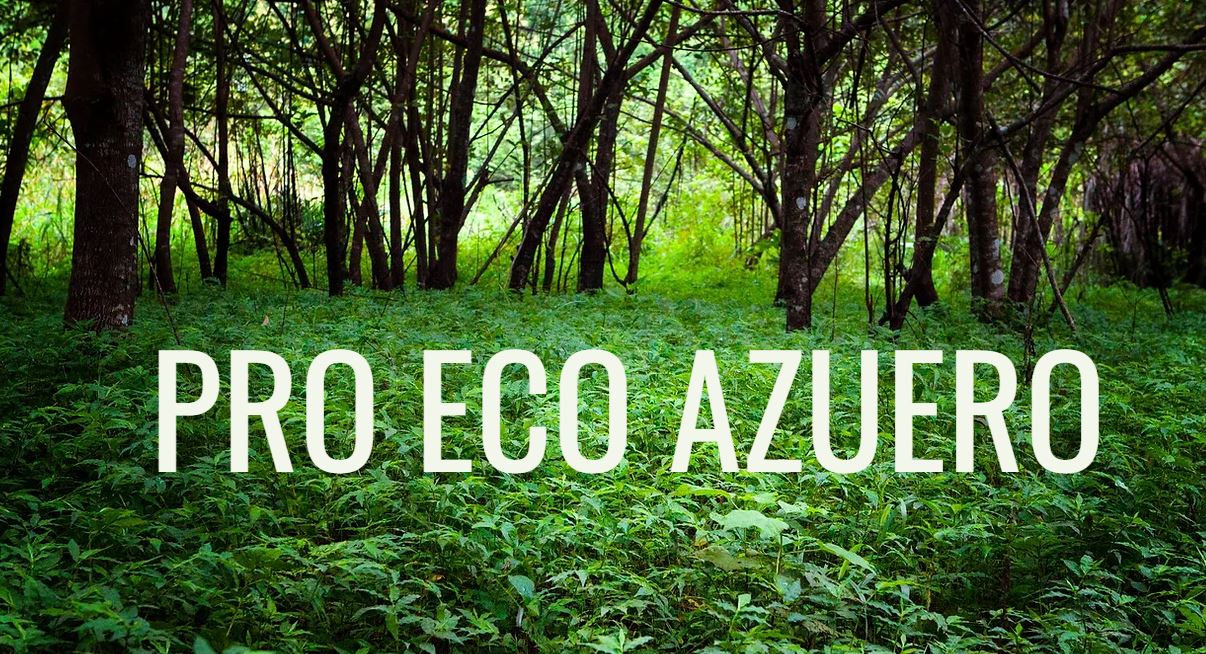 La leyenda de la tala desmedida en Azuero esta cambiando. Conoce la Historia detrs de la Fundacin Pro Eco Azuero