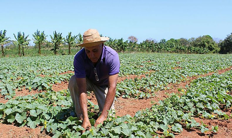 Productores agropecuarios no recibieron respuestas