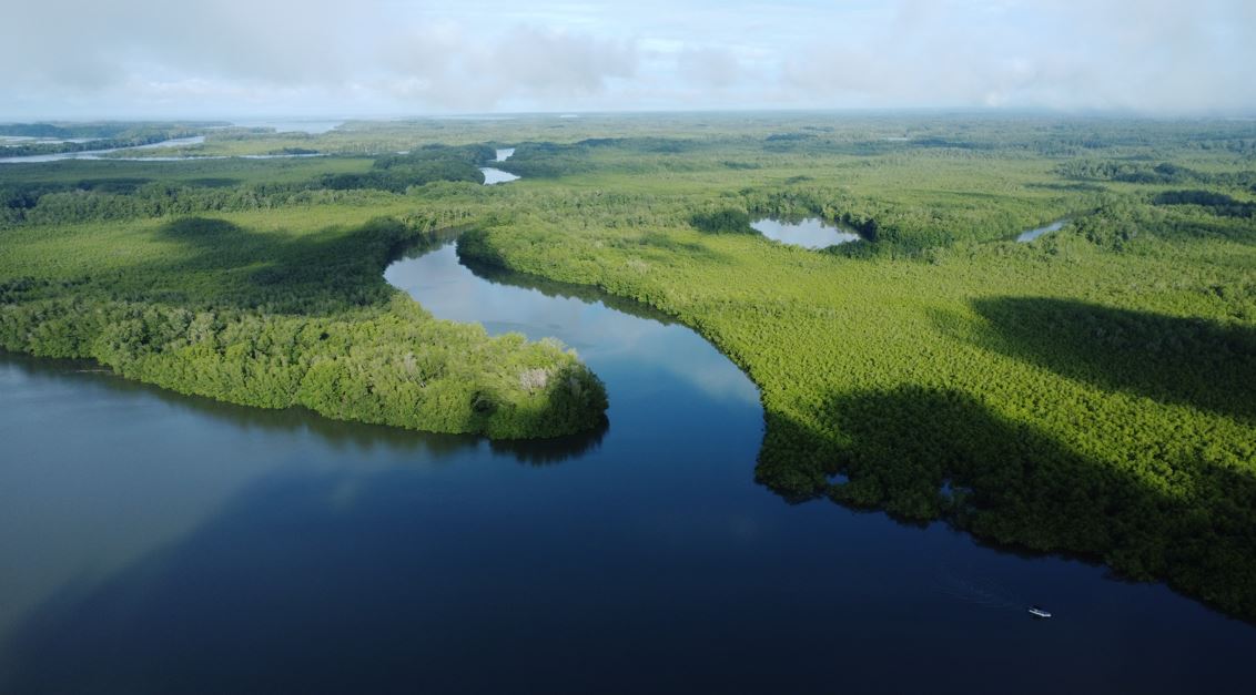 Organizaciones ambientales piden a la Corte Suprema de Justicia que declare ilegal la aprobacin del Estudio de Impacto Ambiental del  polmico Puerto