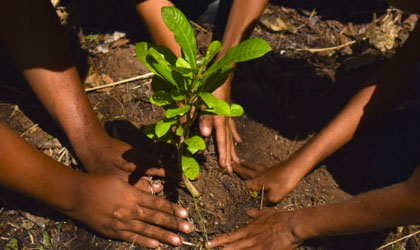 Pases de Centroamrica trabajan en la recuperacin de bosques