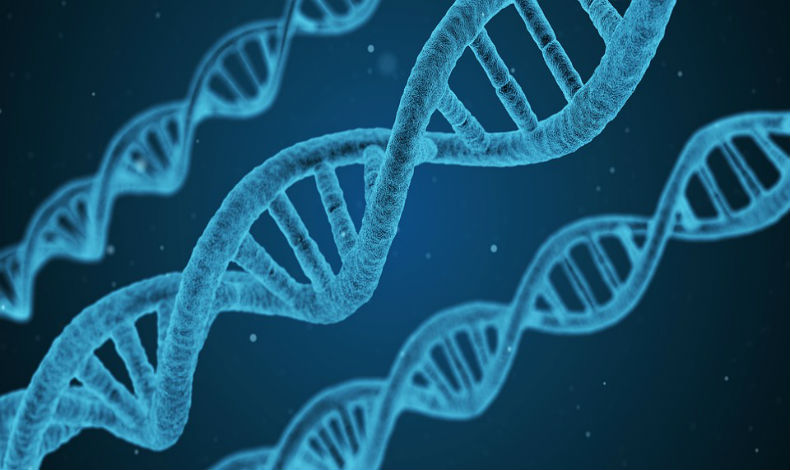 FBI utiliza el registro de huellas genticas para resolver crmenes