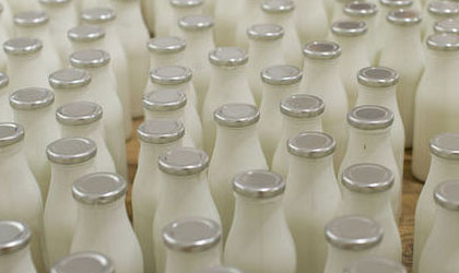 Productos lcteos en Chiriqu no representan riesgo para la salud