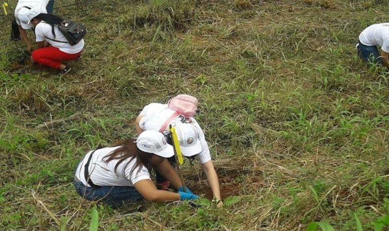 MIVIOT reforesta por un pas ms verde