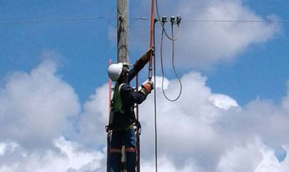 Cada de rboles sobre la red elctrica deja sectores sin luz