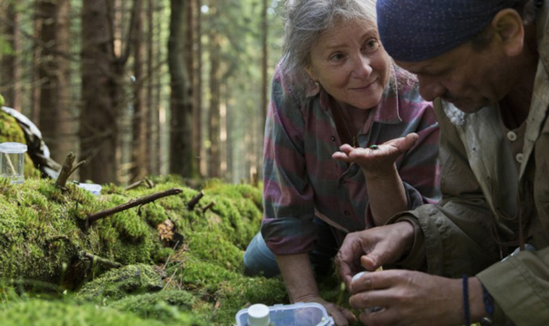 Triler de Spoor, nueva pelcula de Agnieszka Holland preseleccionada al scar 2018