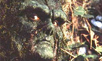 Swamp Thing en 3D por Joel Silver