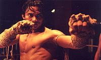Tony Jaa De Ong Bak a ser monje?