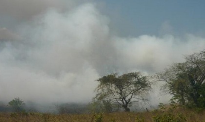 Se incendia el vertedero de Macaracas