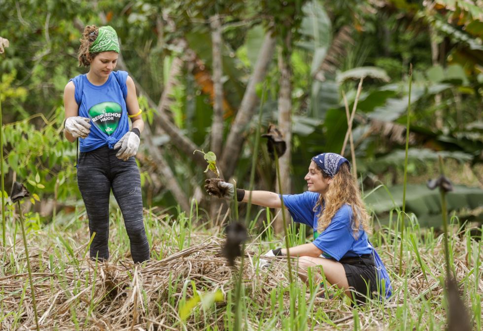 Exitosa jornada de siembra en el Parque Nacional Soberana gracias a la campaa 