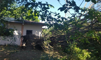 El tendido elctrico se ve afectado por fuertes vientos