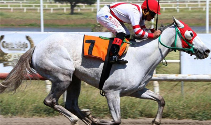 Criollas buscan su primera mantilla