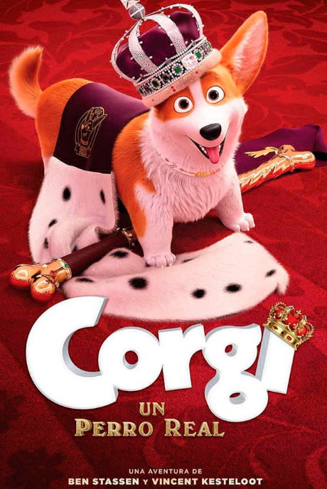 Corgi Un Perro Real