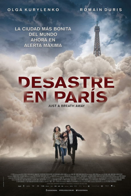 Desastre en Paris