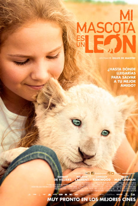 Mi mascota es un león